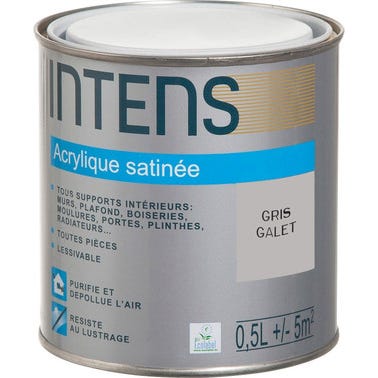 Peinture intérieure multi-supports acrylique monocouche satin gris galet 0,5 L - INTENS 0