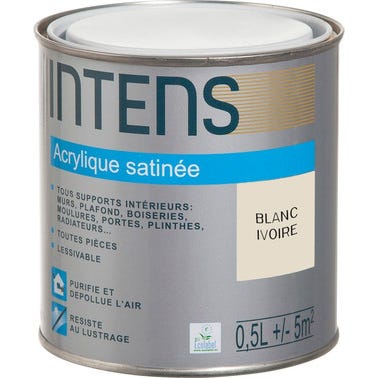 Peinture intérieure multi-supports acrylique monocouche satin blanc ivoire 0,5 L - INTENS 0