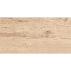 Carrelage sol extérieur effet bois l.30 x L.60 cm - Vanoise Chêne 1