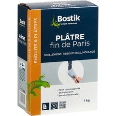 Plâtre fin de Paris en poudre intérieur 1 kg - BOSTIK 0