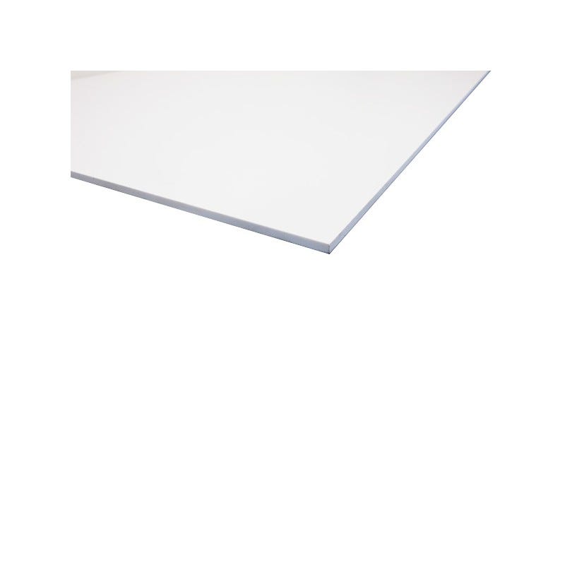 Plaque PVC expansé blanc Blanc, E : 6 mm, l : 50 cm, L : 100 cm.5 0