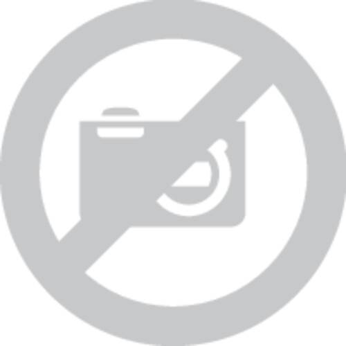 Fiskars 1015617 Hachette 230 mm 550 g