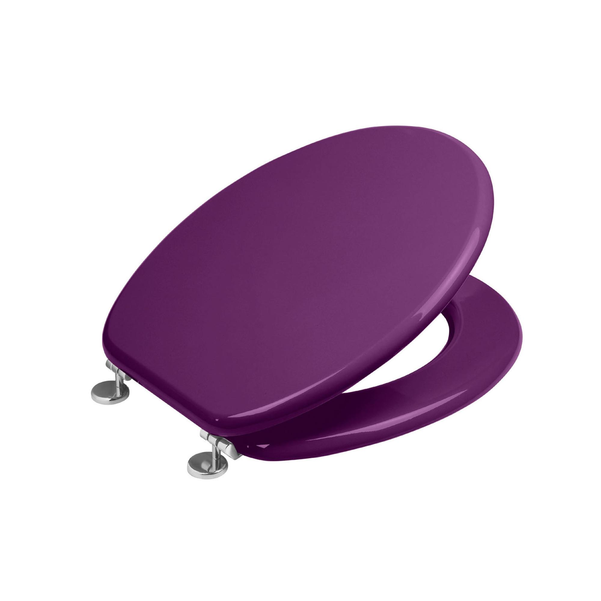 Abattant top wc bricoman