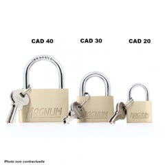 Pack de 12 Master Lock CAD30 2