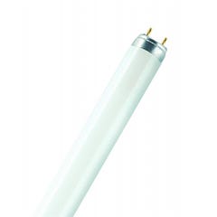 tube fluorescent - osram lumilux t8 - 18 watts - g13 - 3000k 4
