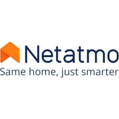 Support NETATMO pour Pluviomètre et Anémomètre 1