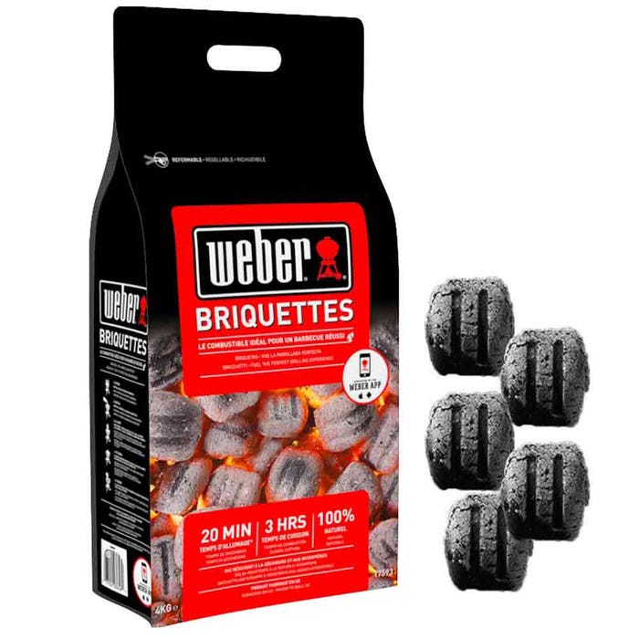 Sac de briquettes WEBER - 4kg 5