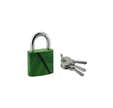 THIRARD - Cadenas à clé Green Idea Bananier, acier, intérieur, anse acier, 30mm, 2 clés
