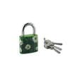 THIRARD - Cadenas à clé Green Idea Marguerite, acier, intérieur, anse acier, 30mm, 2 clés