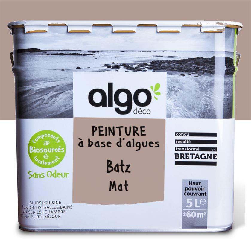 Peinture saine Algo - Marron Batz - Mat - 5L