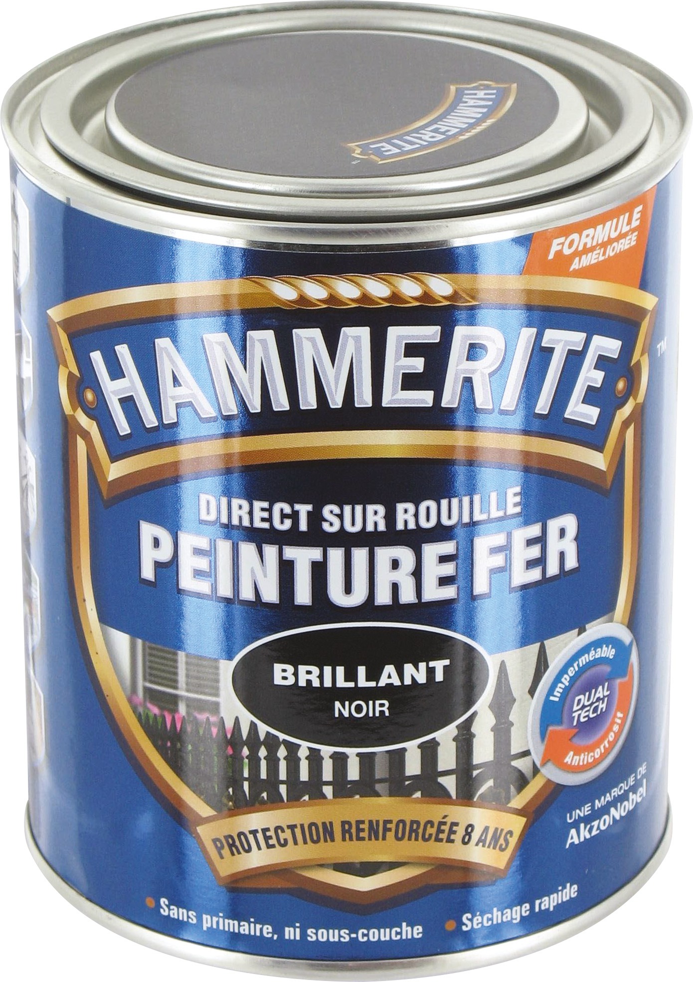 Peinture brillante Hammerite - Boîte 750 ml - Noir