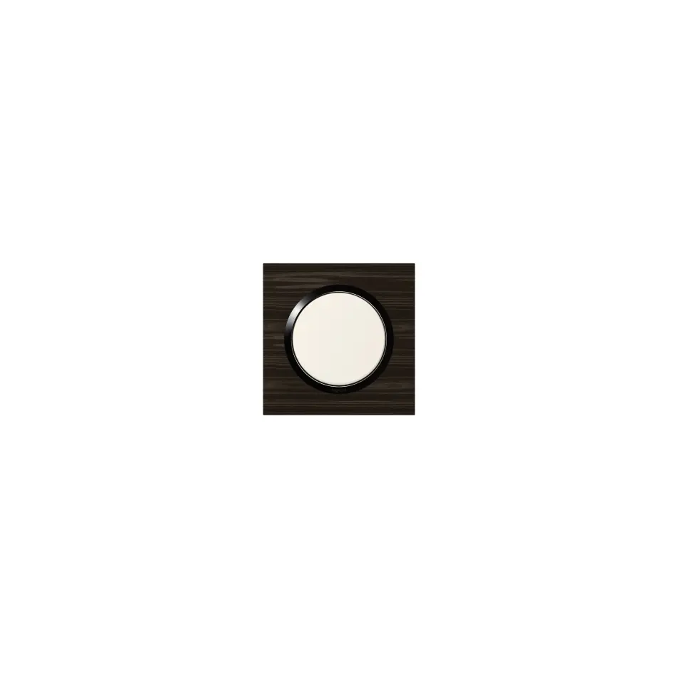 Plaque carrée dooxie 1 poste finition effet bois ébène - 600881 2