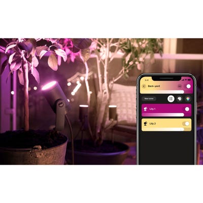 Lanterne PHILIPS HUE W&C LILY extension 8W Anth. Ext