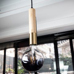 Ampoule LED Globe (G125) Irrégulière au verre fumé, culot E27, 6W cons. (48W eq.), 600 lumens, lumière blanc chaud 2