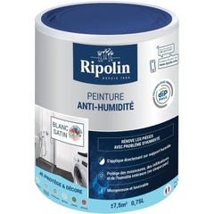 Ripolin Peinture Peinture Anti-humidite 0,75l