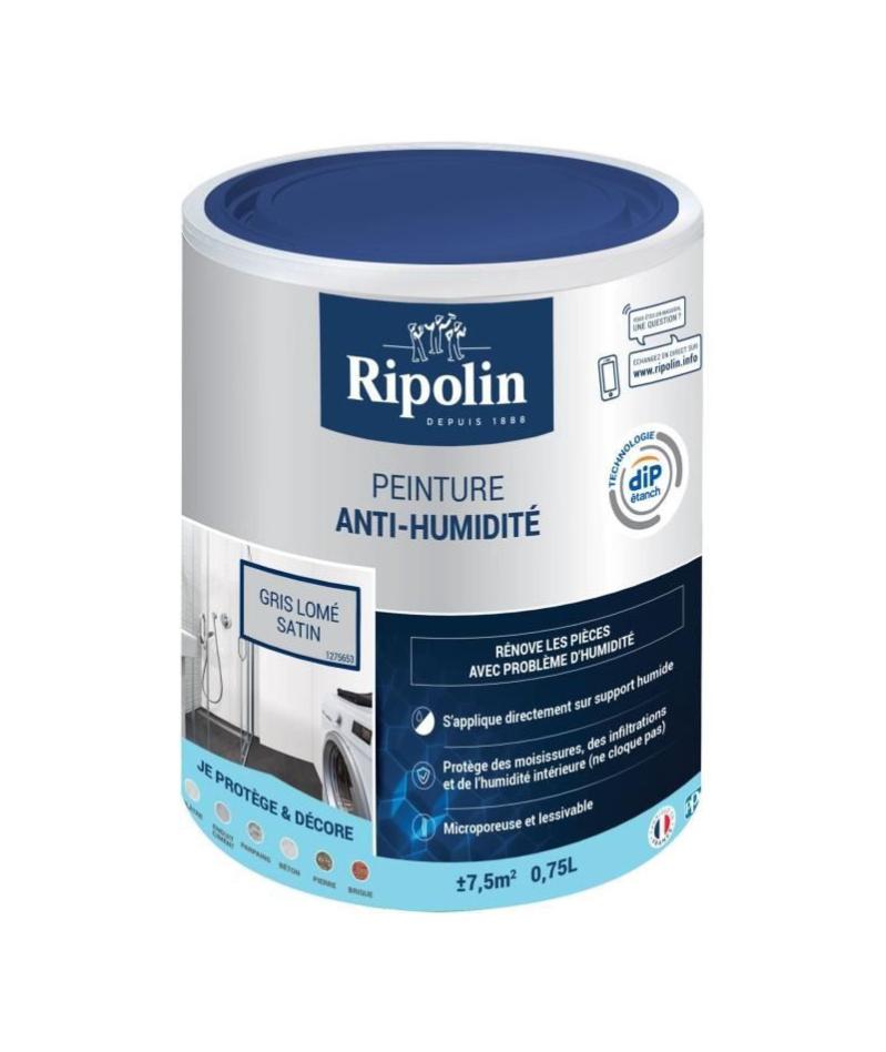 Peinture d' étanchéité anti-humidité satin gris lome 0,75L Ripolin