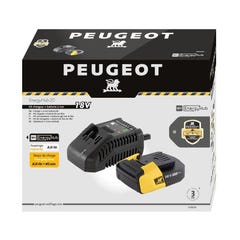 PEUGEOT Chargeur + batterie 2,0Ah - Energyhub 1
