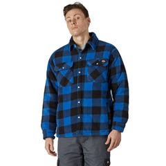 Chemise à carreaux Portland Bleu royal - Dickies - Taille XL 2