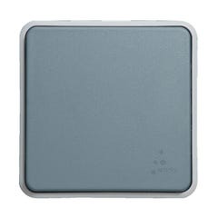 Bouton-poussoir PLEXO 10A gris mat - LEGRAND - 069540 0