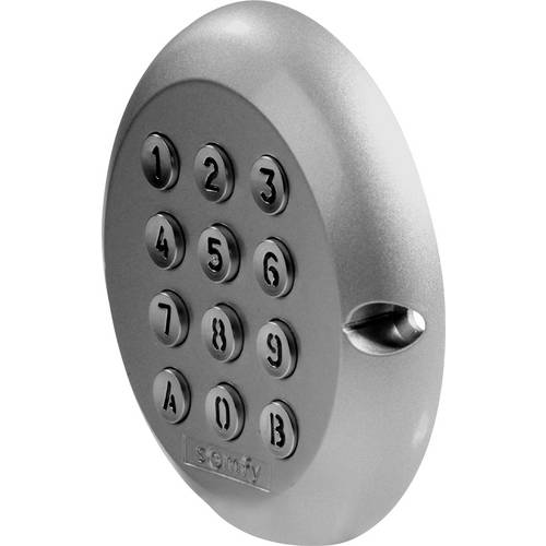 Somfy 2400581 2 canaux Clavier à code pour motorisation de portail montage apparent (en saillie)