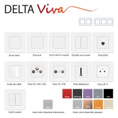 Sortie de cable Blanc Delta Viva + Plaque Silver 1