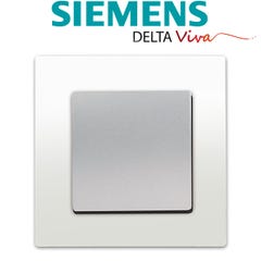 Poussoir Silver Delta Viva + Plaque Blanc 1