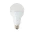 Ampoule LED A70, culot E27, 15W cons. (100W eq.), lumière blanc froid