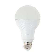 Ampoule LED A70, culot E27, 15W cons. (100W eq.), lumière blanc froid 0