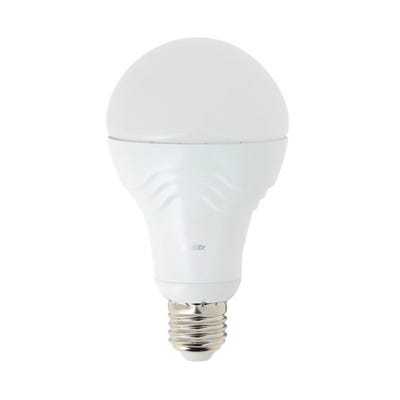Ampoule LED A70, culot E27, 15W cons. (100W eq.), lumière blanc froid 0