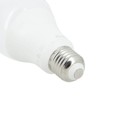 Ampoule LED A70, culot E27, 15W cons. (100W eq.), lumière blanc froid 4