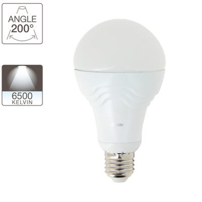 Ampoule LED A70, culot E27, 15W cons. (100W eq.), lumière blanc froid 3