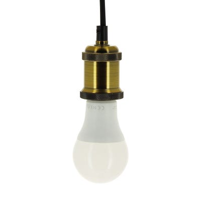 Ampoule LED standard A70, culot E27, 15W cons. (100W eq.), blanc chaud, dimmable 4