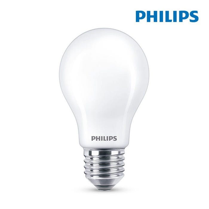 Ampoule LED standard PHILIPS - EyeComfort - 8,5W - 1055 lumens - 6500K - E27 - 93002 5