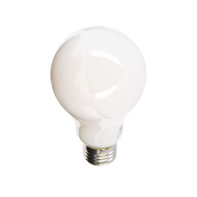 Ampoule LED A70 Opaque, culot E27, conso. 17W, 2452 Lumens, Blanc chaud 3