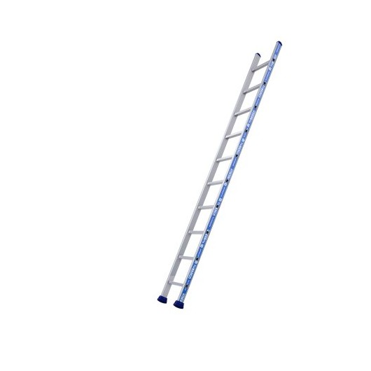 Tubesca - Echelle simple droite 7 échelons hauteur d'accès 3,03 m - Platinium