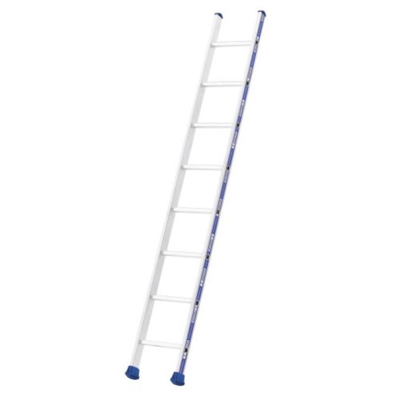 Tubesca - Echelle simple droite 6 échelons hauteur d'accès 2,75 m - Platinium
