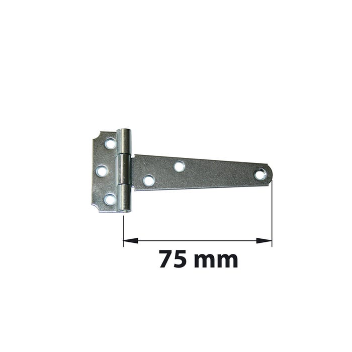 Charnière universelle acier pour porte, L.100 x l.55 mm 0