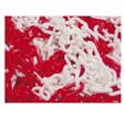 Chaine en plastique 25m rouge/blanche N°8 - TALIAPLAST - 530100