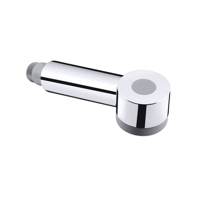 Douchette pour mitigeur évier Talis S chromé Hansgrohe 97999000