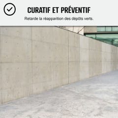 Traitement anti-dépots verts ULTRA CONCENTRÉ pour toitures, façades et terrasses - 1 L (jusqu'à 250 m²) - - ARCANE INDUSTRIES 7