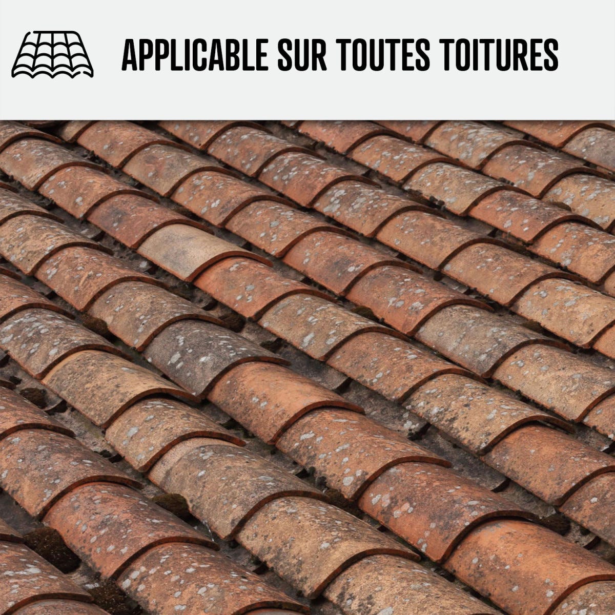 Nettoyant Toiture - Produit nettoyage toiture action rapide - 20 L - - ARCANE INDUSTRIES 5