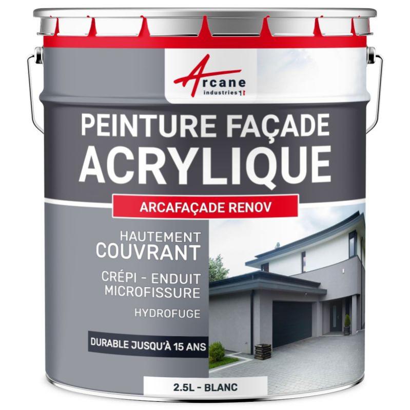 Peinture Façade - Peinture Hydrofuge Acrylique 14 Couleurs - Blanc (ral 9003) - 2.5l (+ Ou - 15m² En 1 Couche)