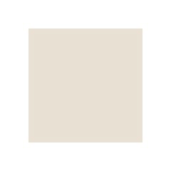 PEINTURE BAIGNOIRE LAVABO - Résine Époxy Pour Rénovation - 1 kg (jusqu'à 3 m² en 2 couches) - Blanc Cassé - Crème - RAL 9001 - ARCANE INDUSTRIES 1