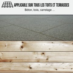 Etancheite Toiture Terrasse Plate - Résine Pu Haute Performance - Arcathan - Beige - Ral 1001 - 15 Kg 2