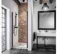 Schulte porte de douche pivotante, 100 x 192 cm, profilé noir, verre 5 mm transparent anticalcaire, style atelier industriel