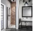 Schulte porte de douche pivotante, 80 x 192 cm, profilé noir, verre 5 mm transparent anticalcaire, style atelier industriel