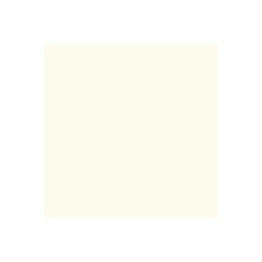 Peinture Piscine Carrelage Polyuréthane - 20 kg (jusqu'à 65m² en 2 couches) - Blanc Perlé - RAL 1013 - ARCANE INDUSTRIES 1