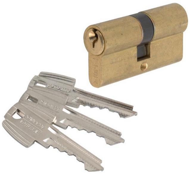 Tesa - Cylindre 2 Entrées Te5 Laiton S'entrouvrant 40x30 Mm