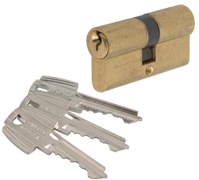 Tesa - Cylindre 2 Entrées Te5 Laiton Varié 50x40 Mm