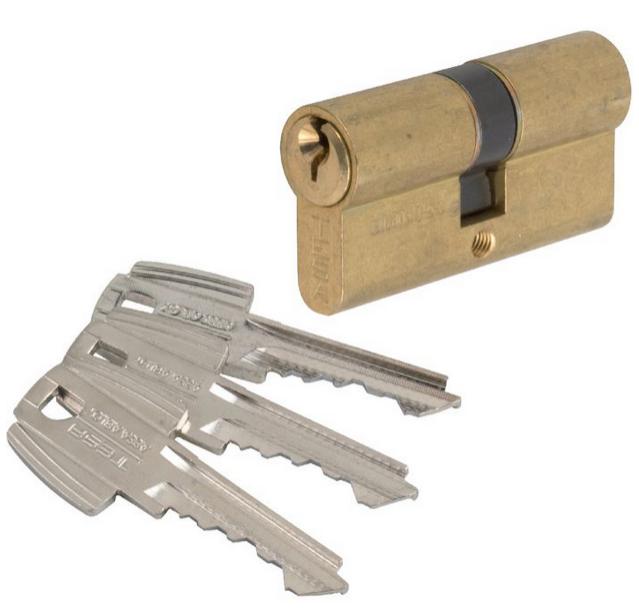 Tesa - Cylindre 2 Entrées Te5 Laiton S'entrouvrant 30x30 Mm